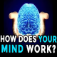 How does your mind work?